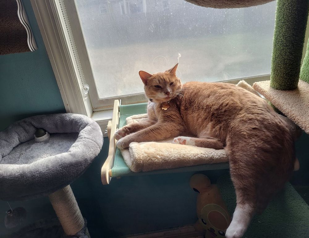 ginprokash industries ltd management