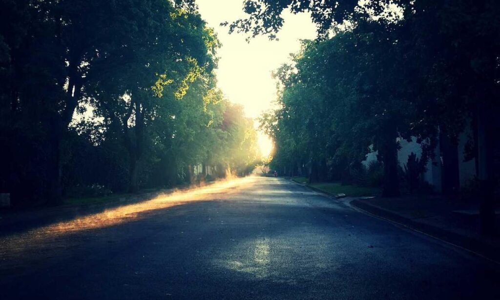 one of the shampoo ingredient luvizac