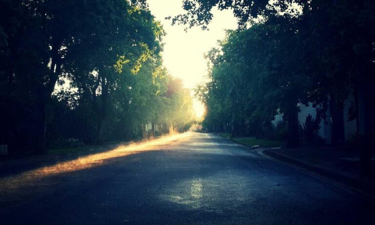 one of the shampoo ingredient luvizac