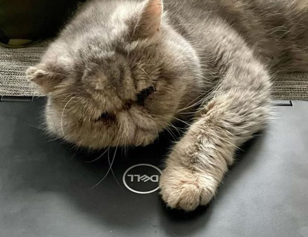 why obernaft can't play on pc