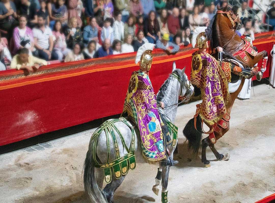 Representation in Popular Culture and Media