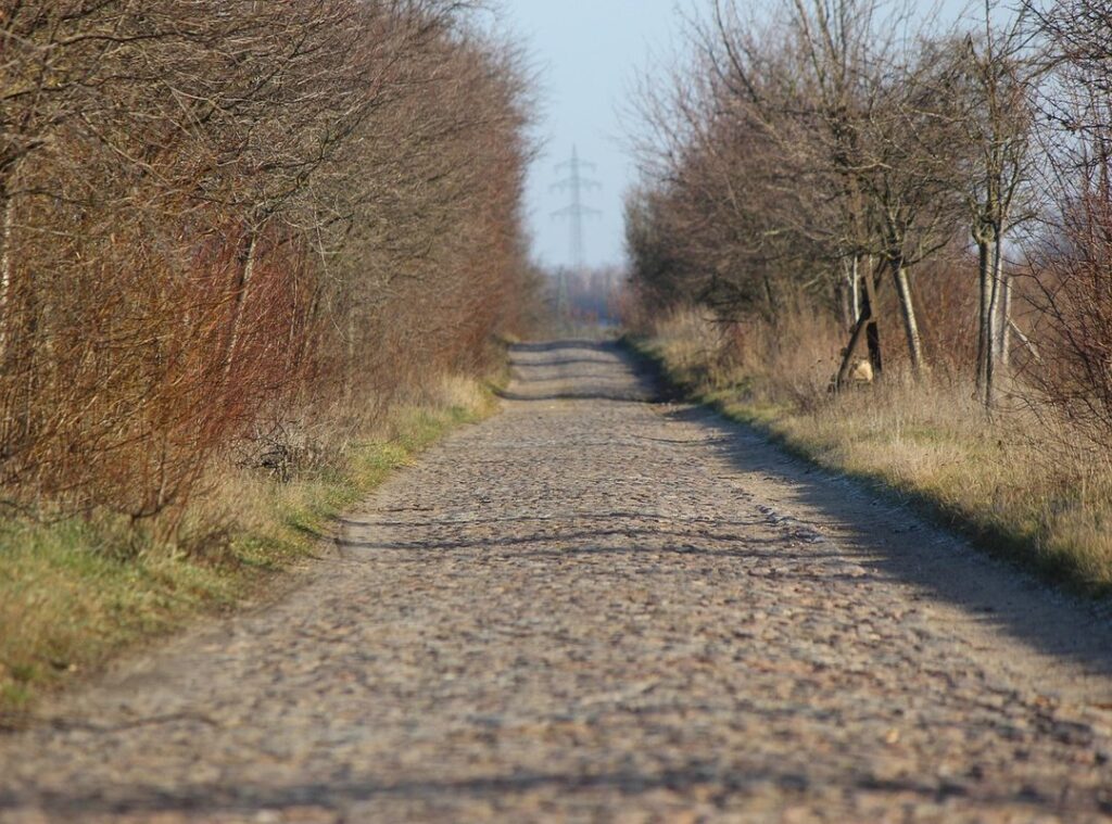 How Often Should I Use Luvizac Shampoo