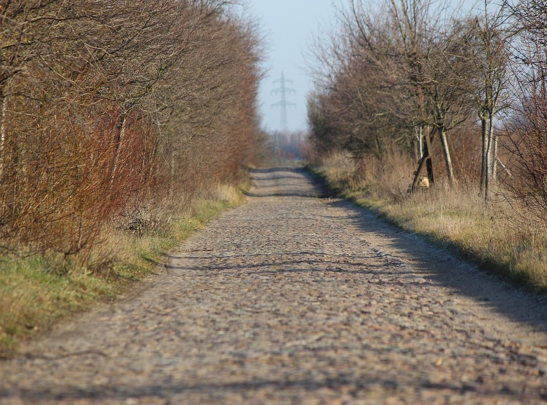 How Often Should I Use Luvizac Shampoo