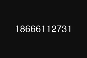 18666112731