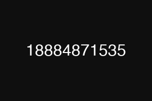 18884871535