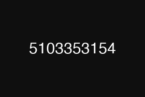 5103353154