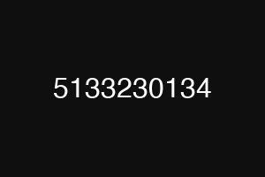 5133230134