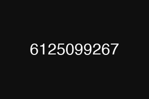 6125099267