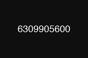 6309905600