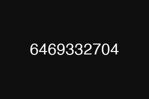 6469332704