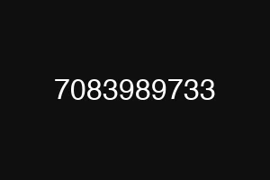 7083989733