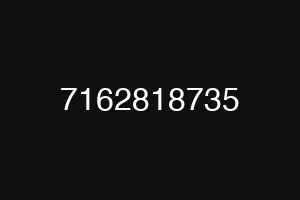 7162818735