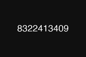 8322413409