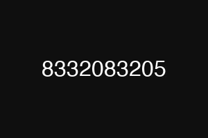8332083205
