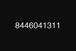 8446041311