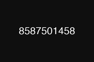 8587501458