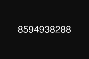 8594938288