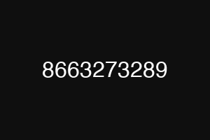8663273289