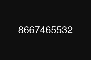 8667465532