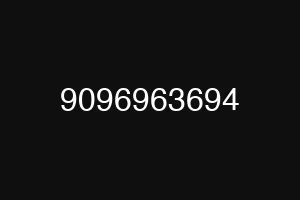 9096963694