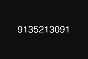 9135213091