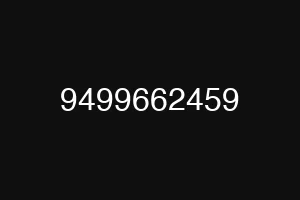 9499662459