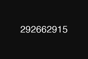 292662915