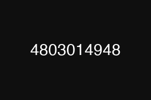 4803014948