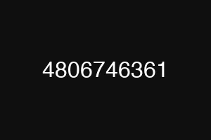 4806746361