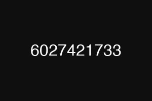 6027421733