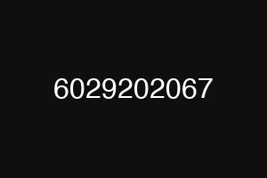 6029202067