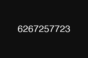 6267257723