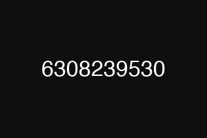 6308239530