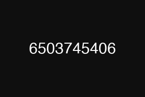 6503745406