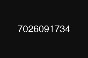 7026091734