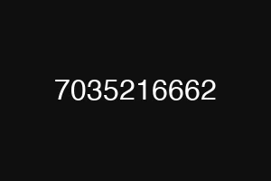 7035216662