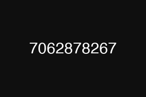 7062878267