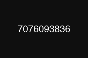 7076093836