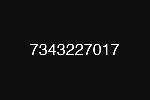 7343227017