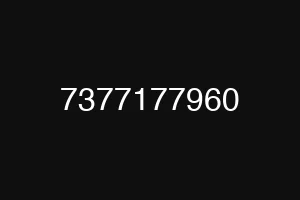 7377177960