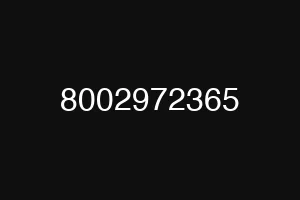 8002972365