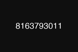 8163793011