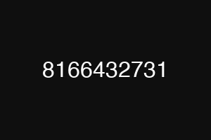 8166432731