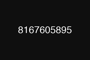 8167605895