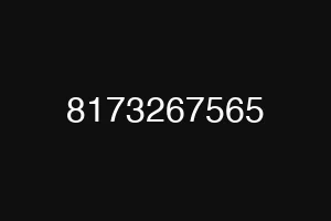 8173267565