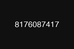 8176087417