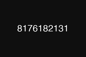 8176182131